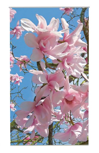 Textile poster  "Magnolia"
